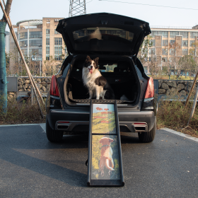 Folding Dog Ramp for Trucks SUVs, Portable Climbing Dog Car Ramp with Nonslip Traction and Extendable Support Legs, Dog Steps Up to 200 LBS